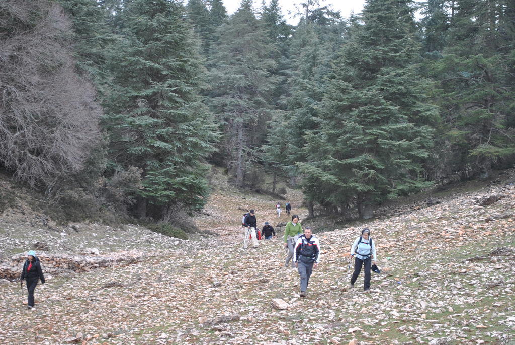 Tamanoucht Hotell Ifrane  Exteriör bild